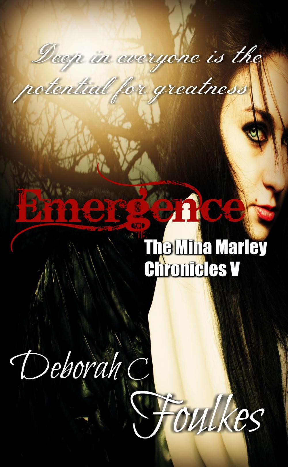 Big bigCover of The Mina Marley Chronicles V: Emergence