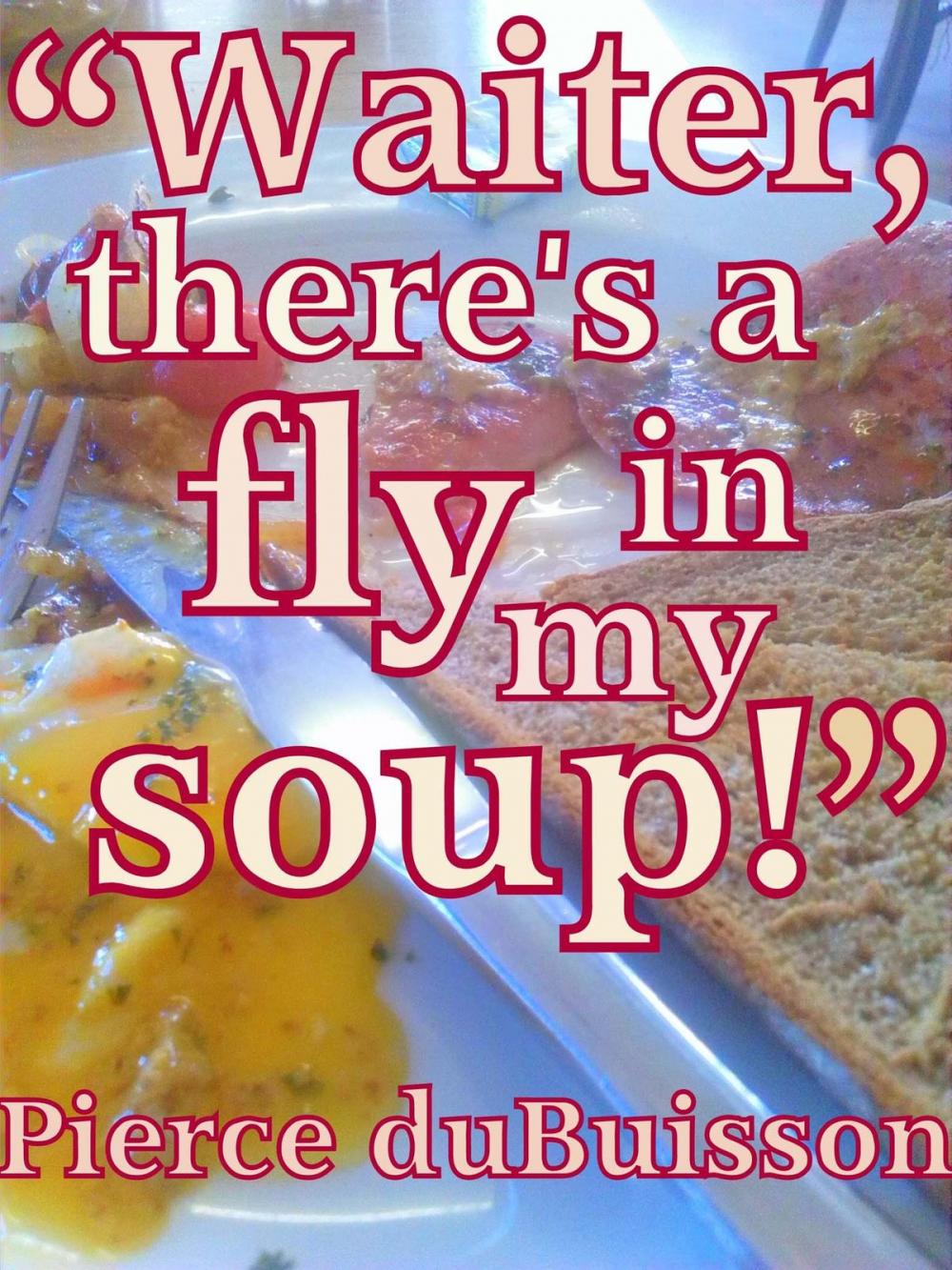 Big bigCover of Waiter, There is a Fly in My Soup!