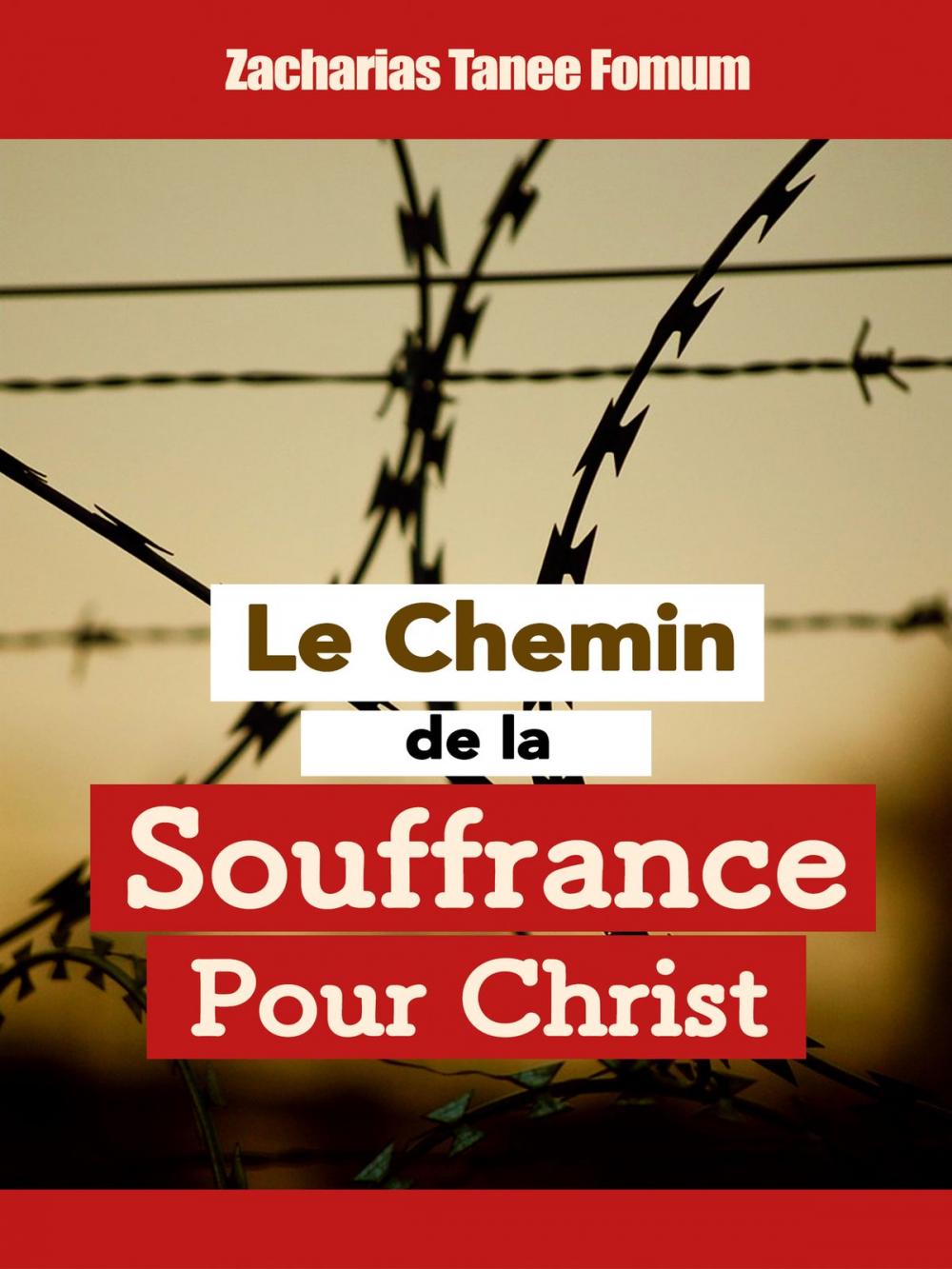 Big bigCover of Le chemin de la souffrance pour Christ