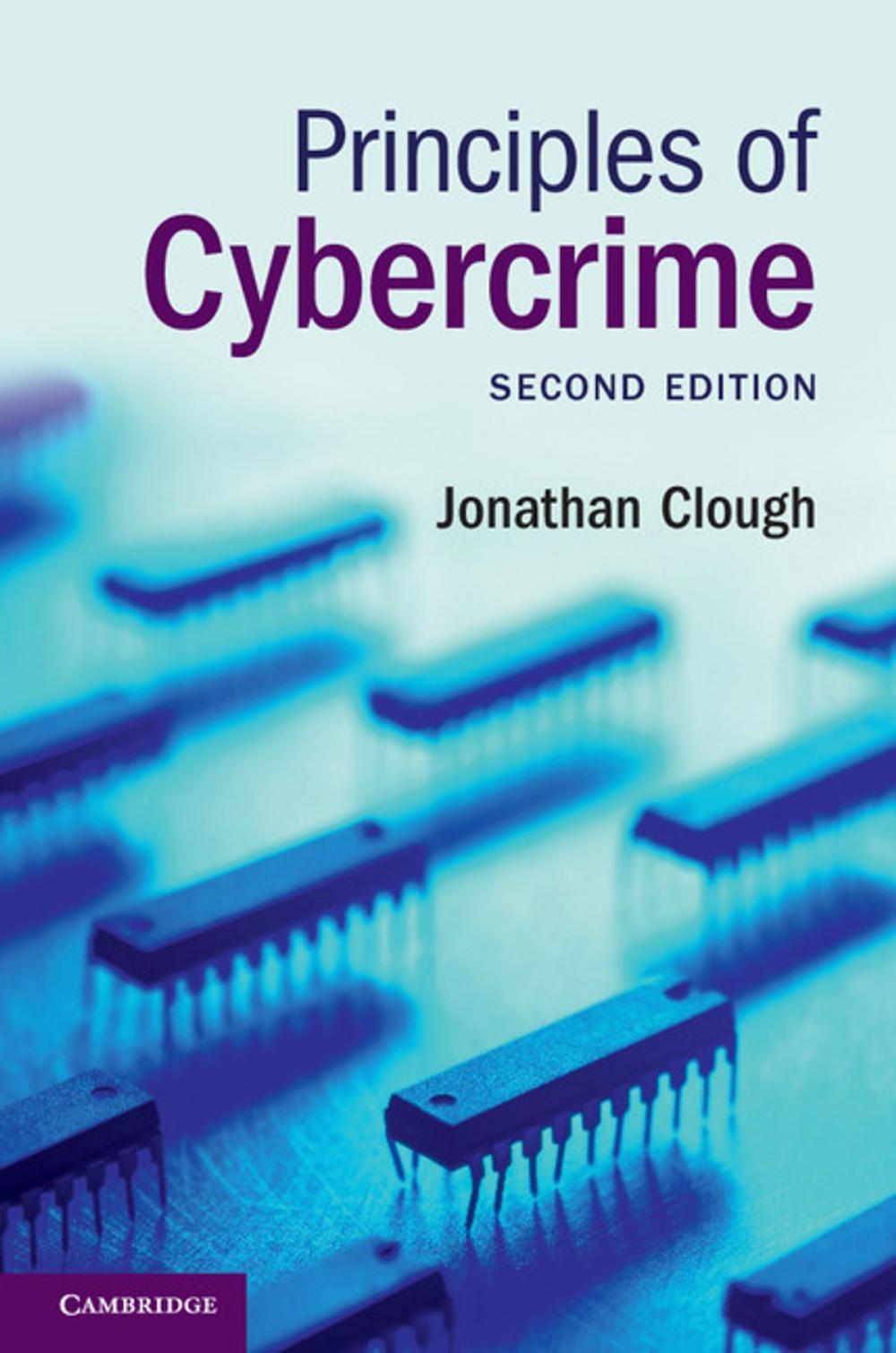 Big bigCover of Principles of Cybercrime