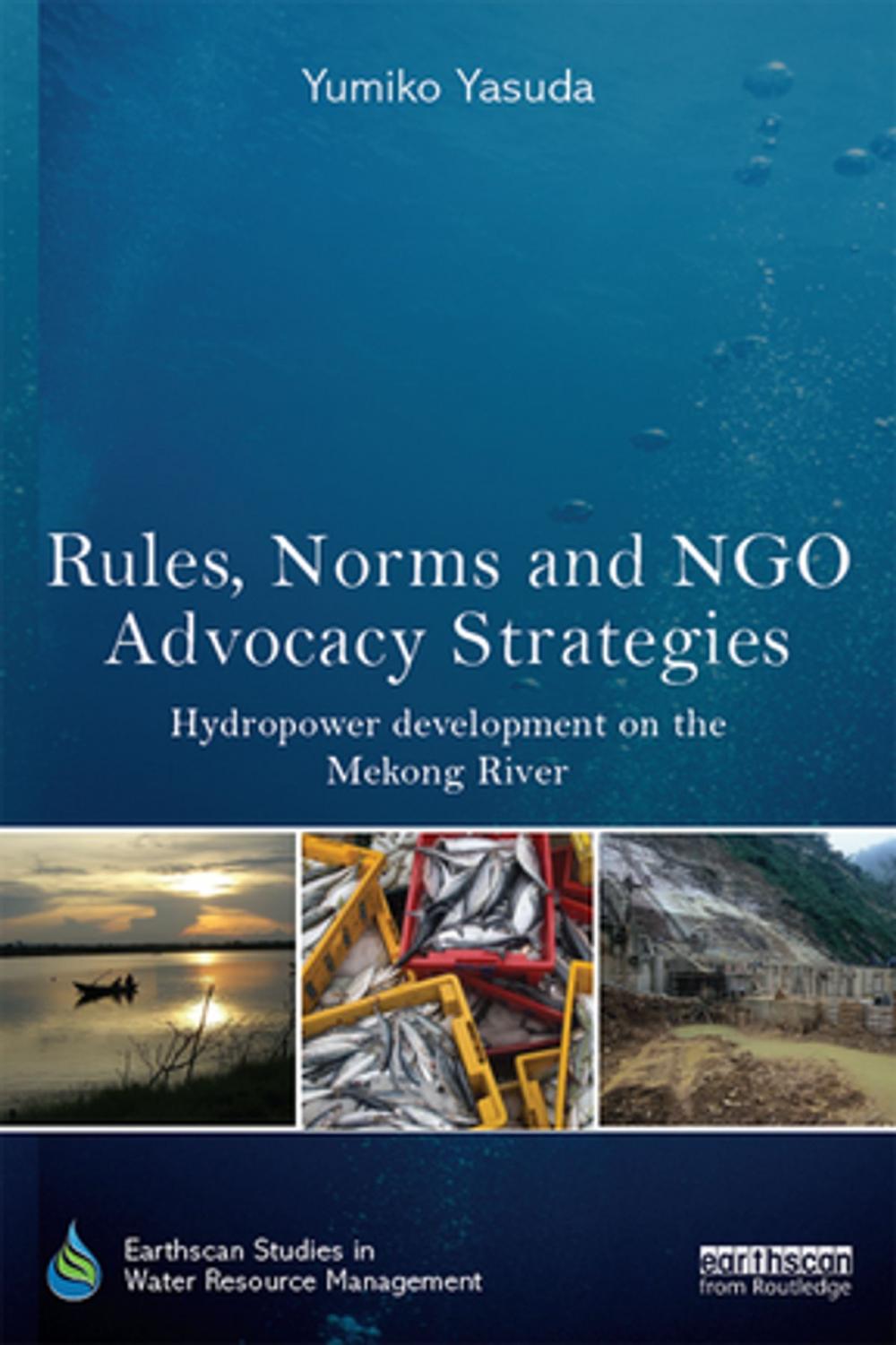 Big bigCover of Rules, Norms and NGO Advocacy Strategies