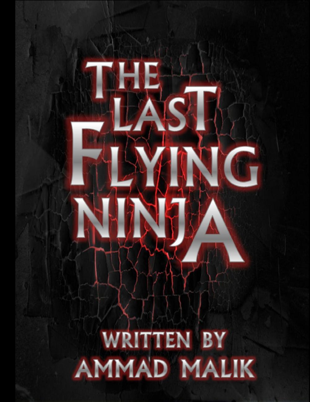 Big bigCover of The Last Flying Ninja