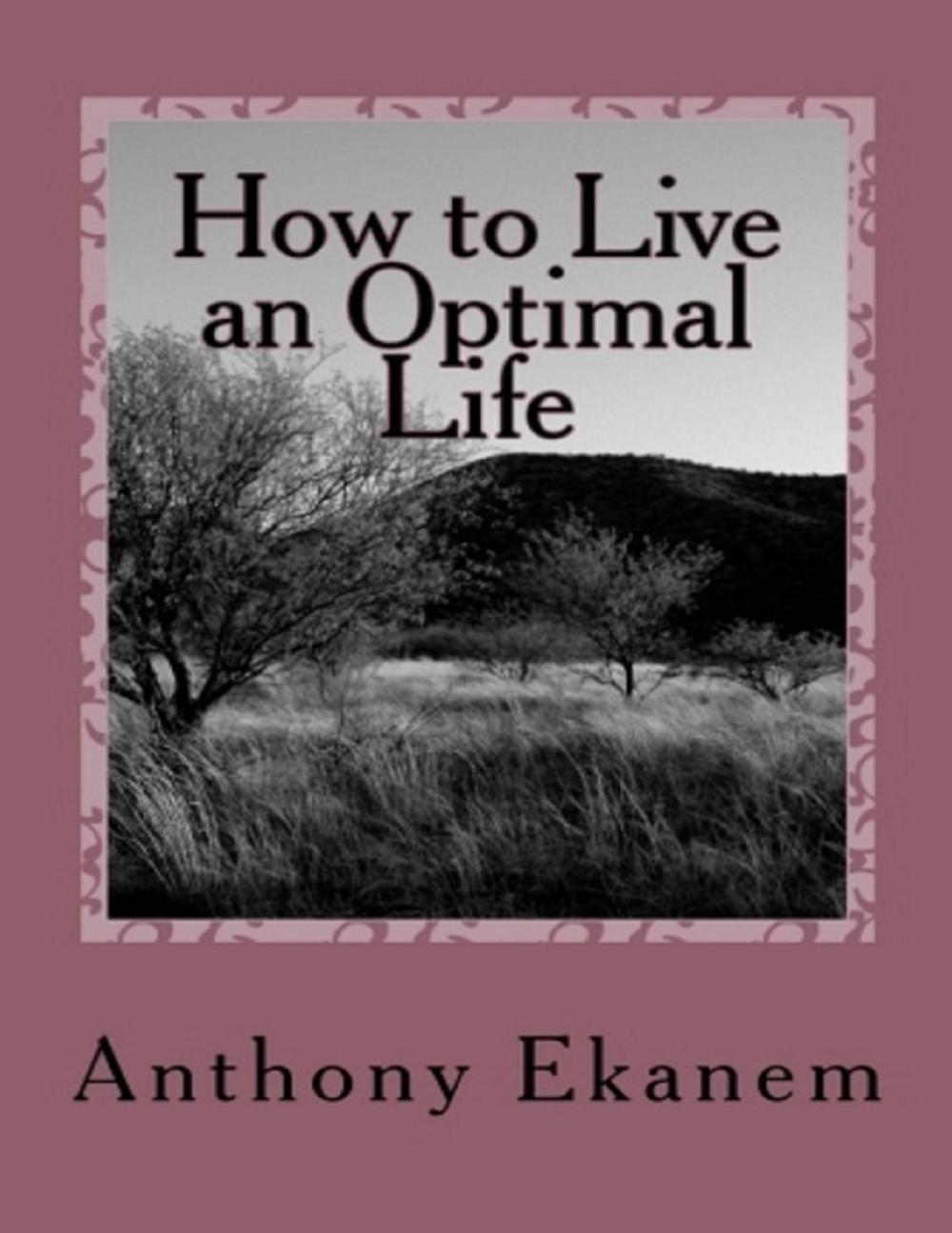 Big bigCover of How to Live an Optimal Life