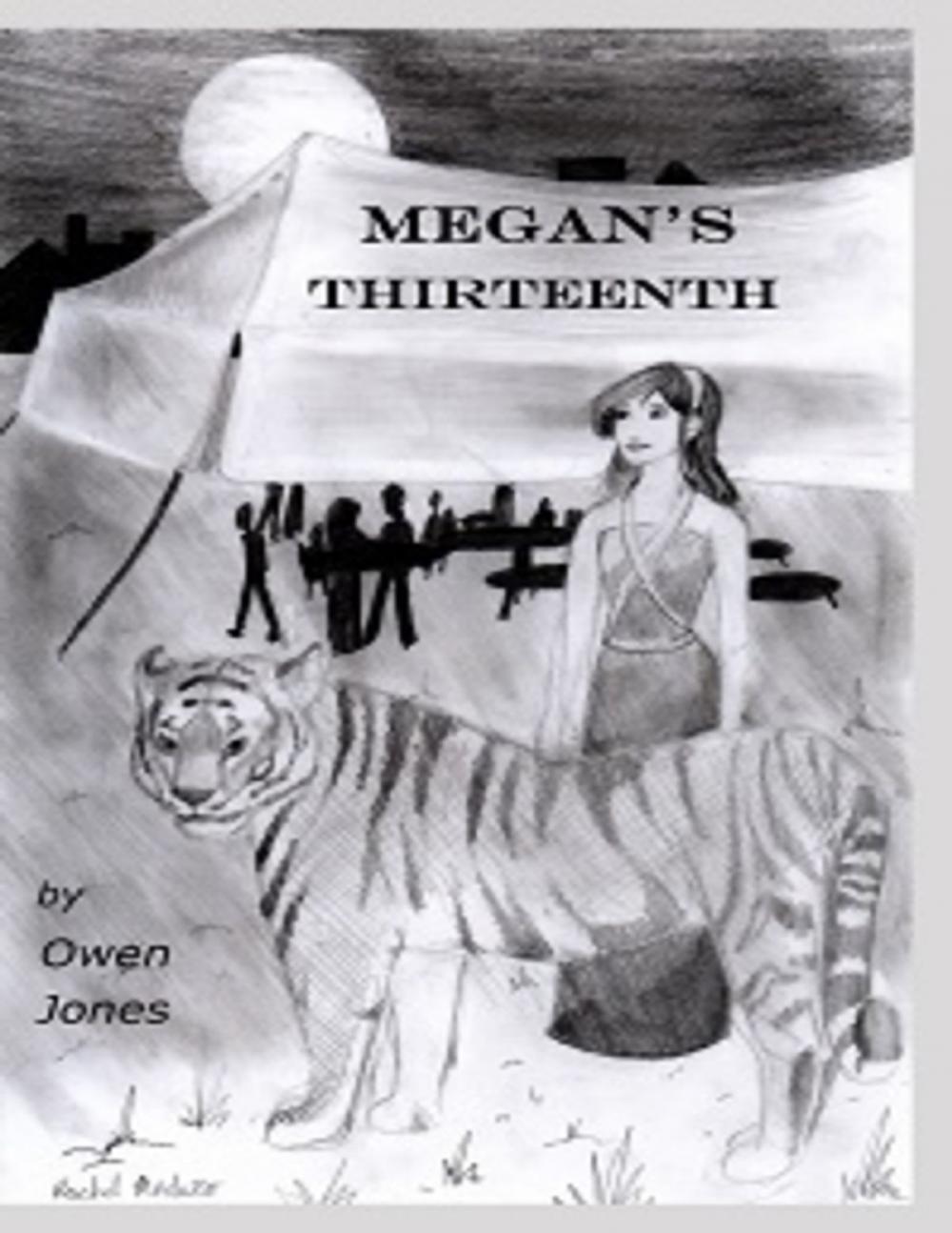 Big bigCover of Megan's Thirteenth