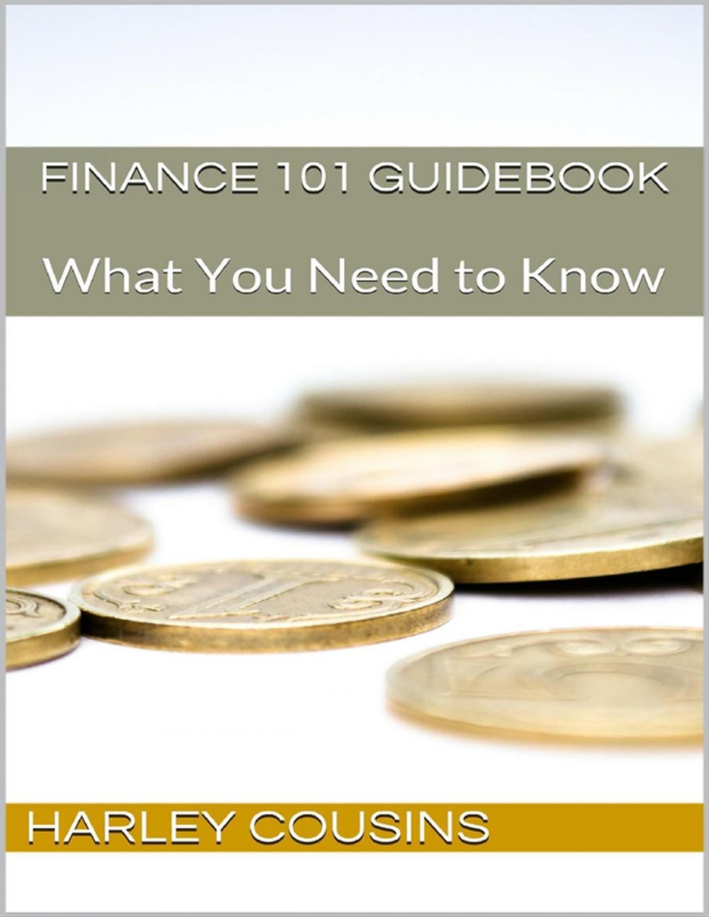 Big bigCover of Finance 101 Guidebook: What You Need to Know