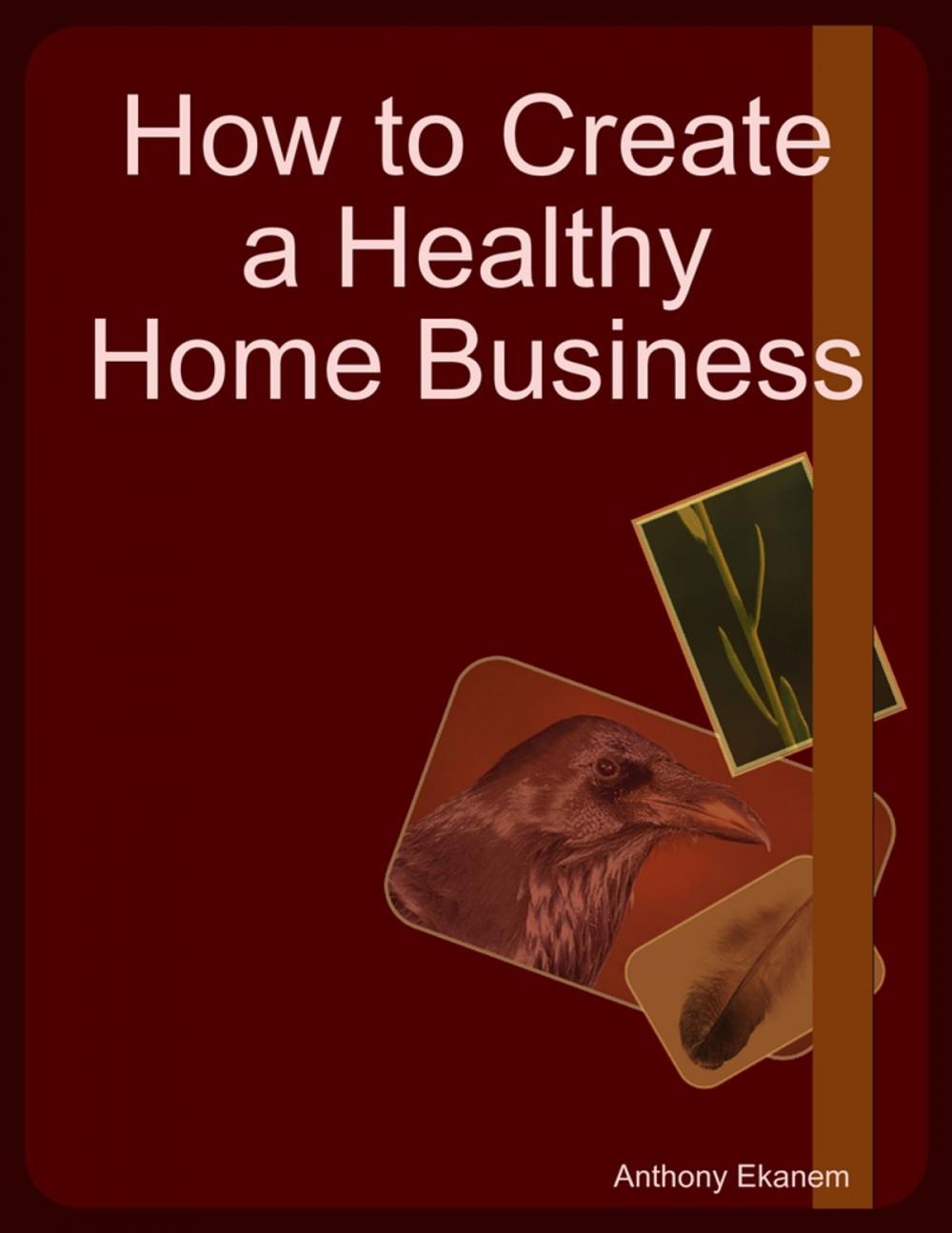 Big bigCover of How to Create a Healthy Home Business