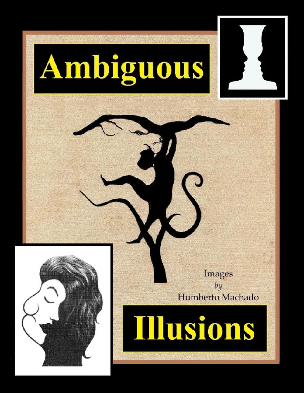 Big bigCover of Ambiguous Illusions