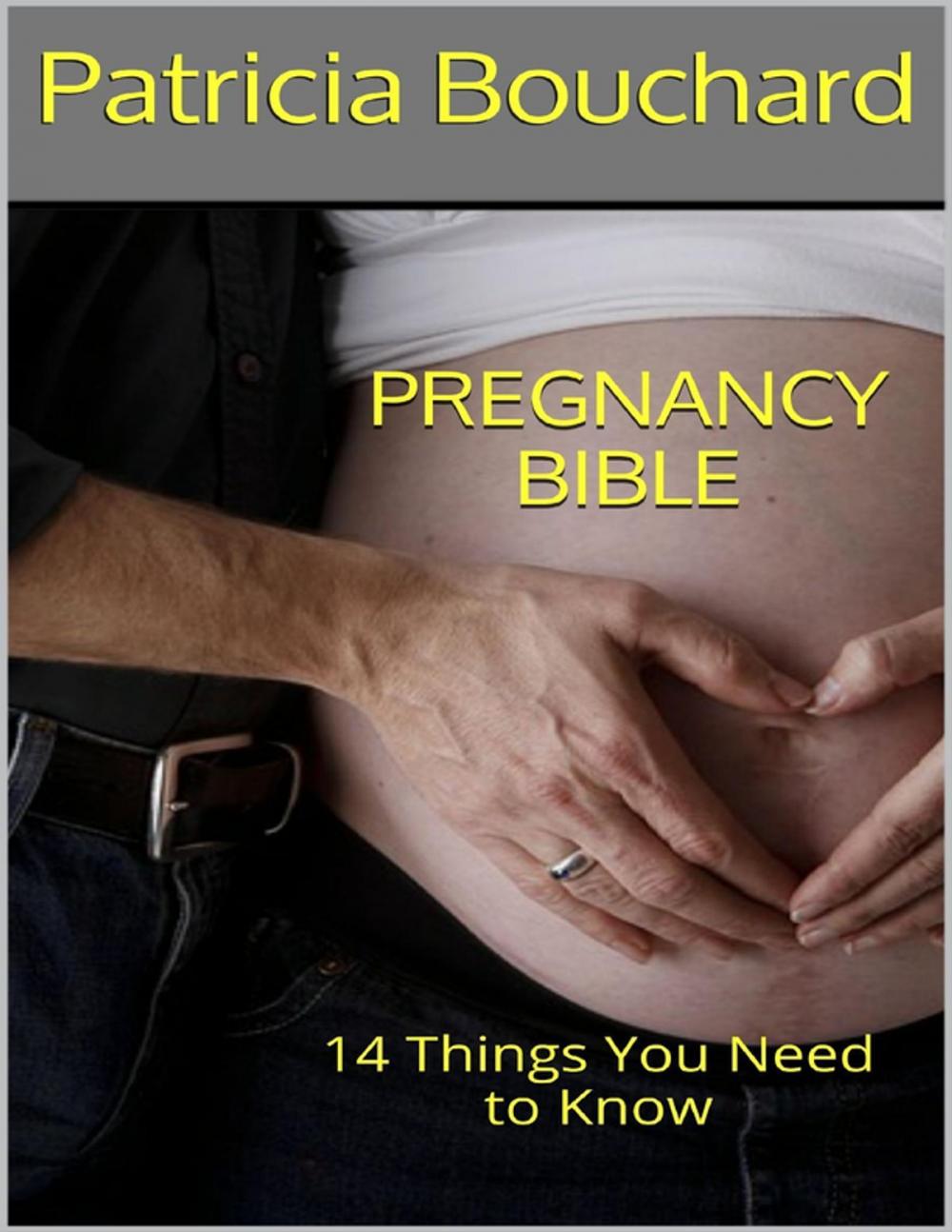 Big bigCover of Pregnancy Bible: 14 Things You Need to Know