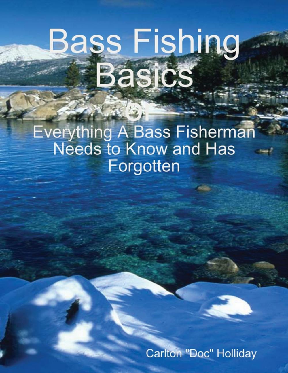 Big bigCover of Bass Fishing Basics