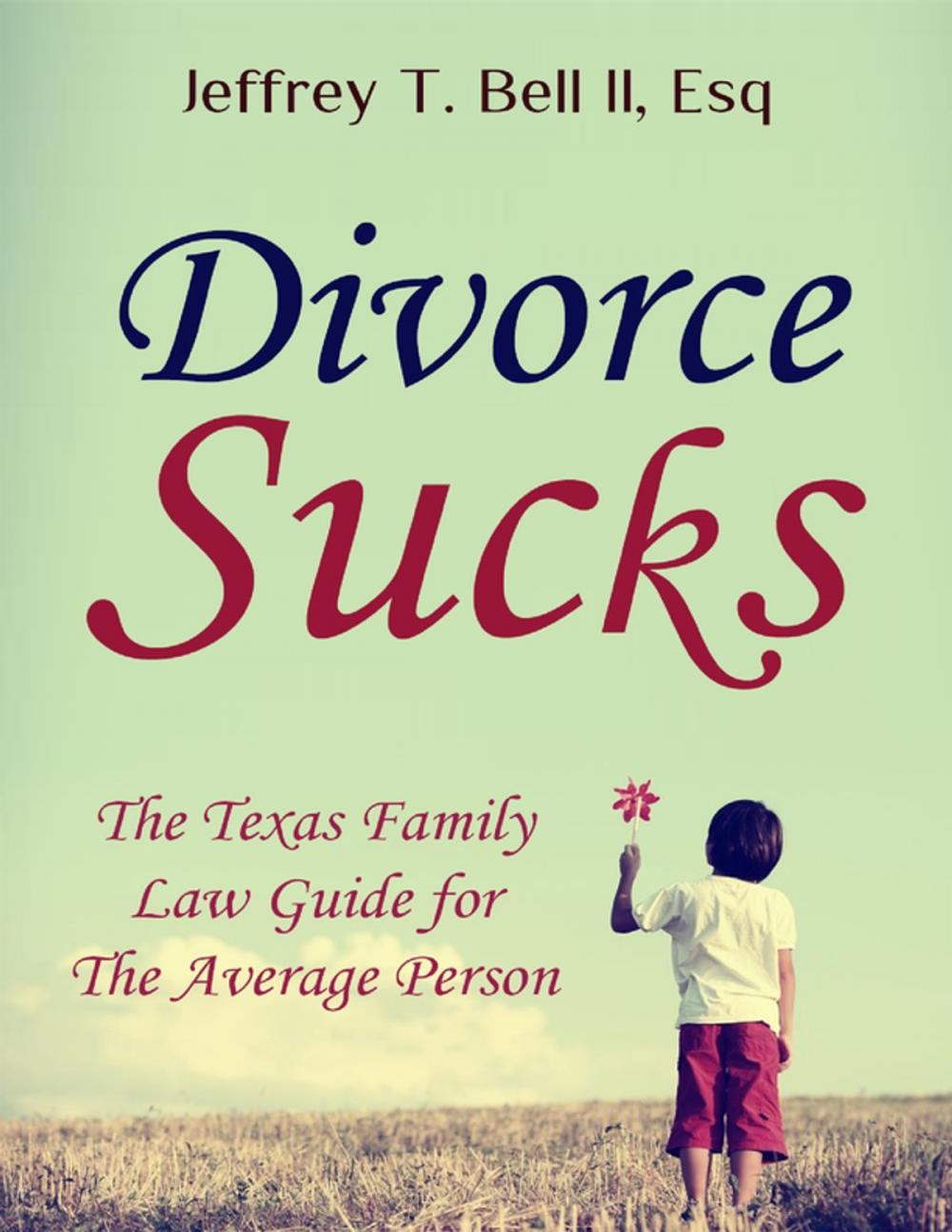 Big bigCover of Divorce Sucks: The Texas Family Law Guide for the Average Person