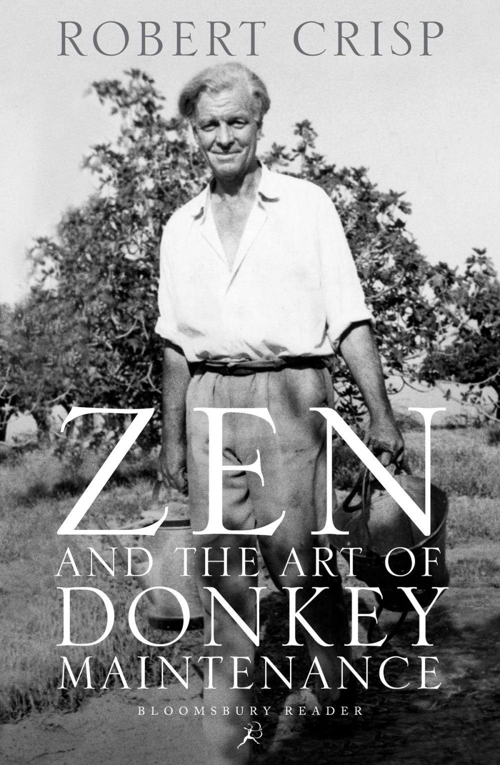 Big bigCover of Zen and the Art of Donkey Maintenance