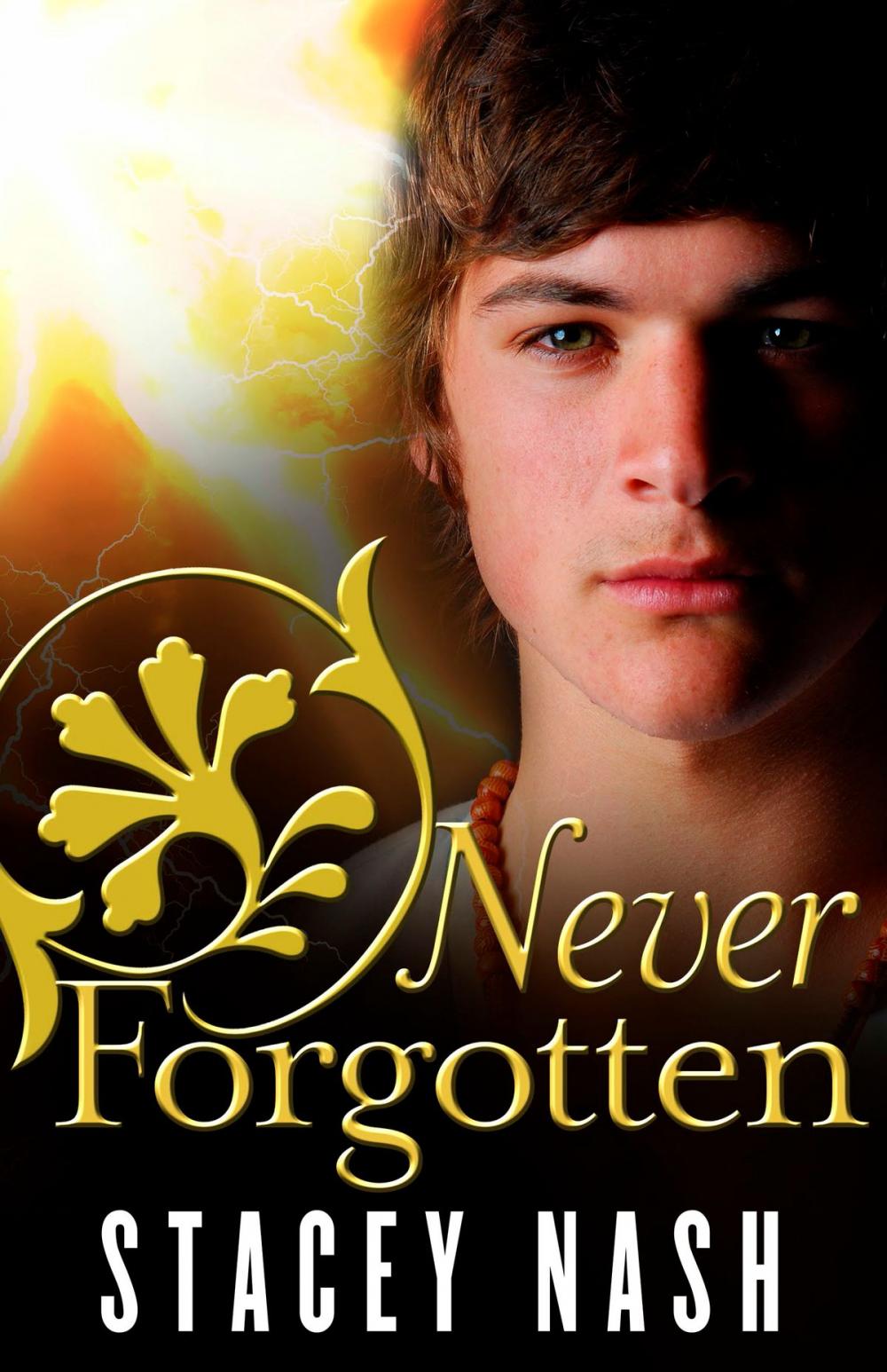 Big bigCover of Never Forgotten