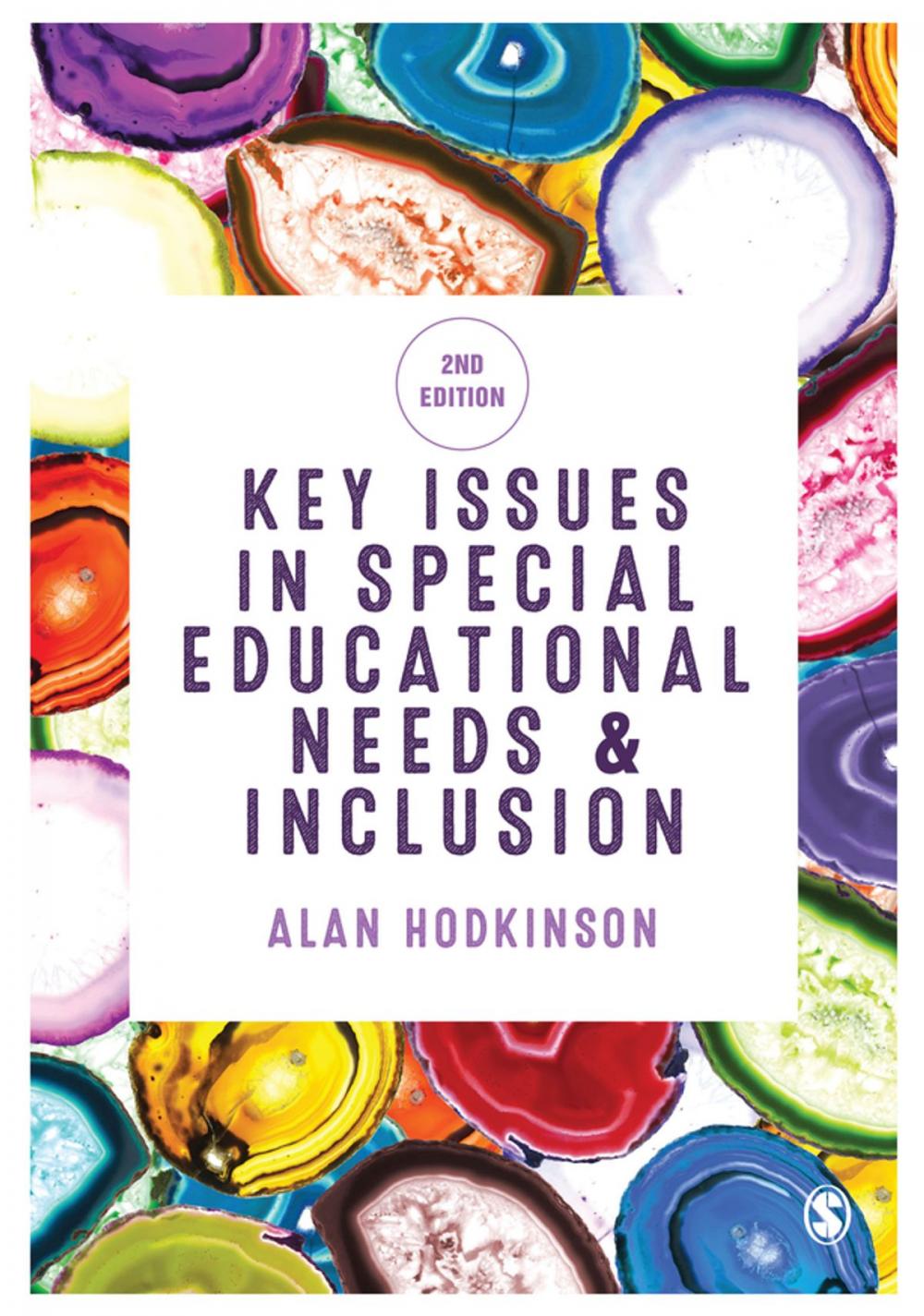 Big bigCover of Key Issues in Special Educational Needs and Inclusion