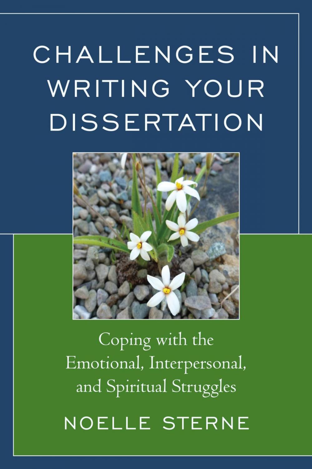 Big bigCover of Challenges in Writing Your Dissertation