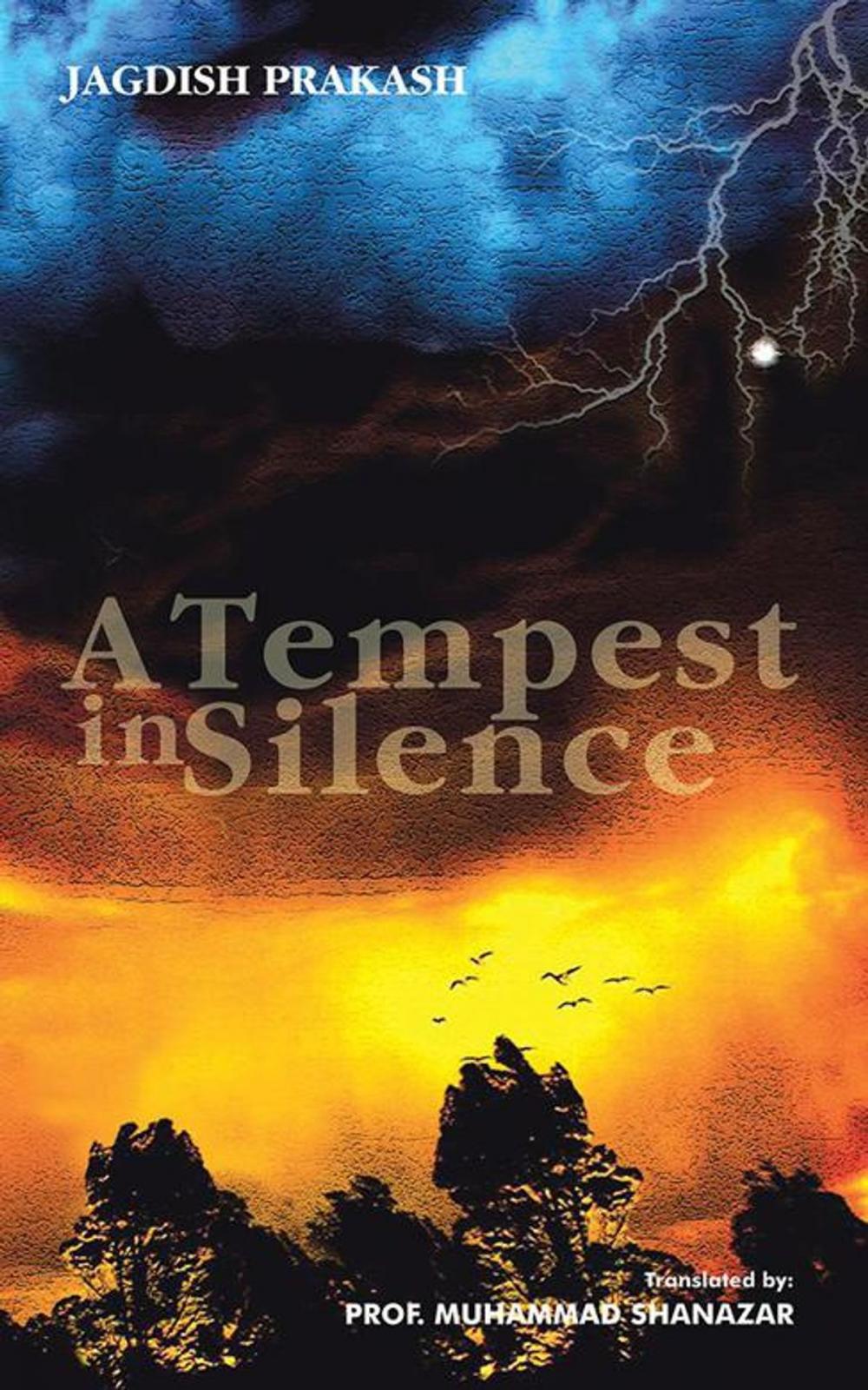 Big bigCover of A Tempest in Silence