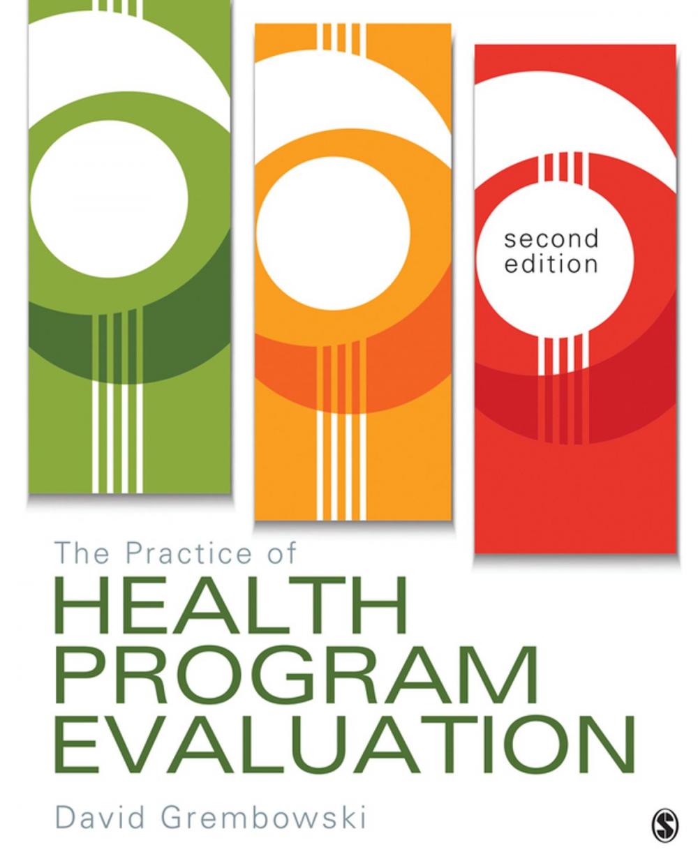 Big bigCover of The Practice of Health Program Evaluation