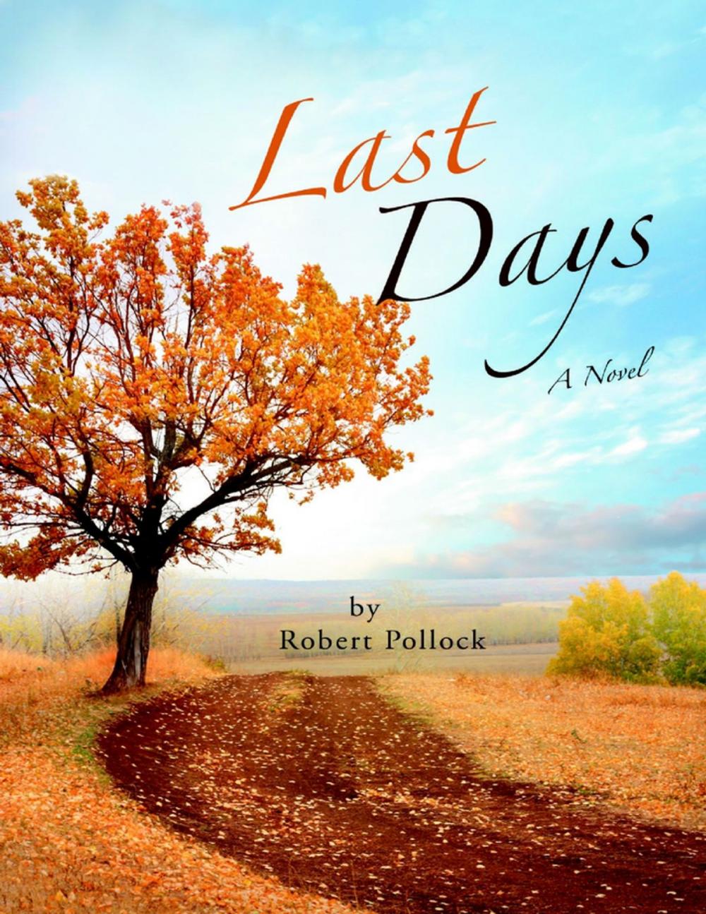 Big bigCover of Last Days: A Novel