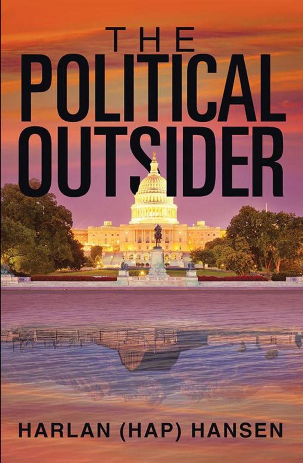 Big bigCover of The Political Outsider