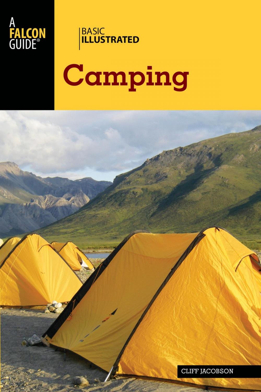 Big bigCover of Basic Illustrated Camping