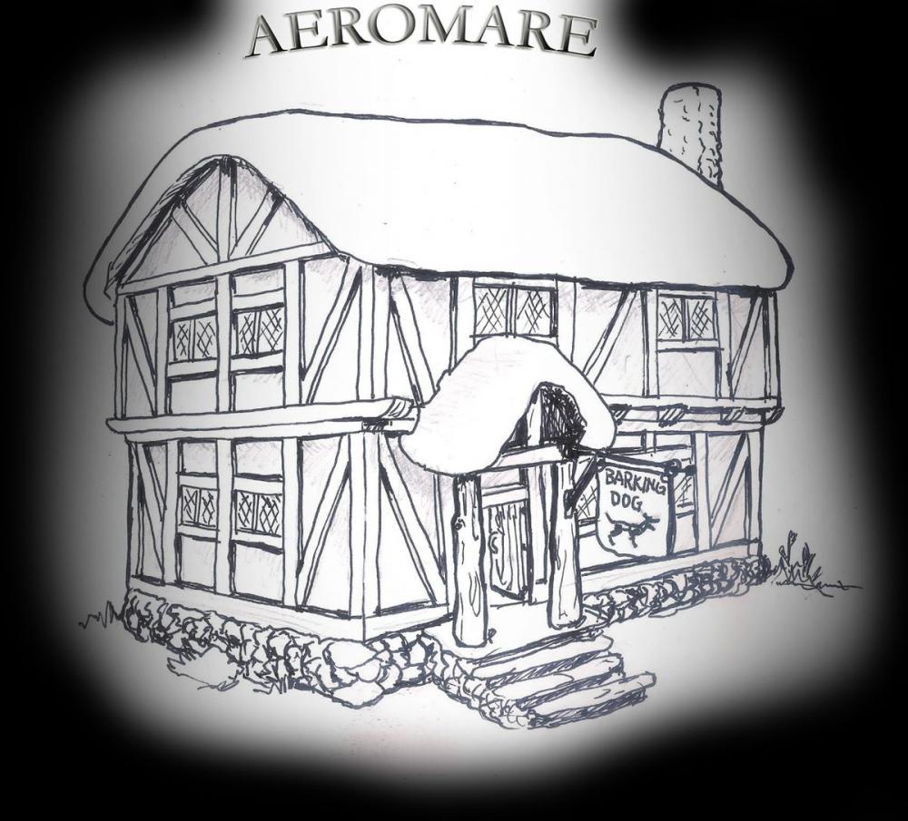 Big bigCover of Aeromare