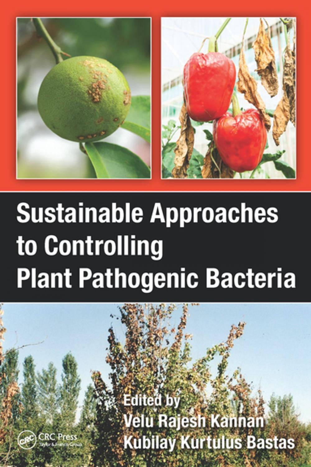 Big bigCover of Sustainable Approaches to Controlling Plant Pathogenic Bacteria