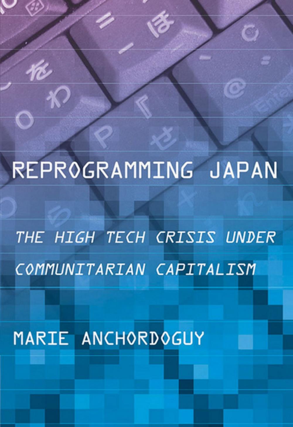 Big bigCover of Reprogramming Japan