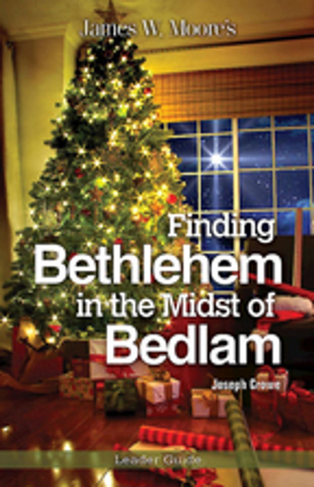 Big bigCover of Finding Bethlehem in the Midst of Bedlam Leader Guide