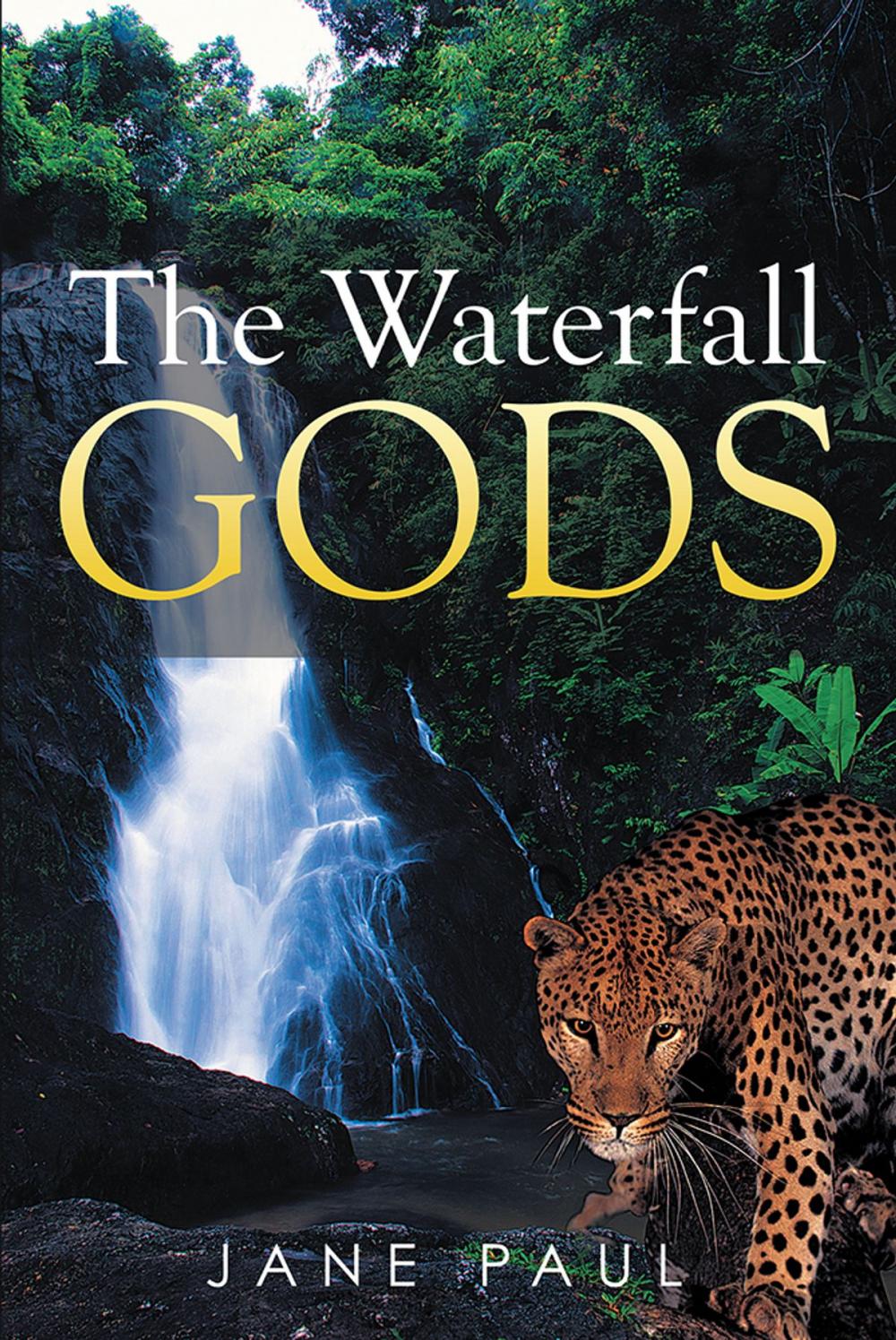 Big bigCover of The Waterfall Gods