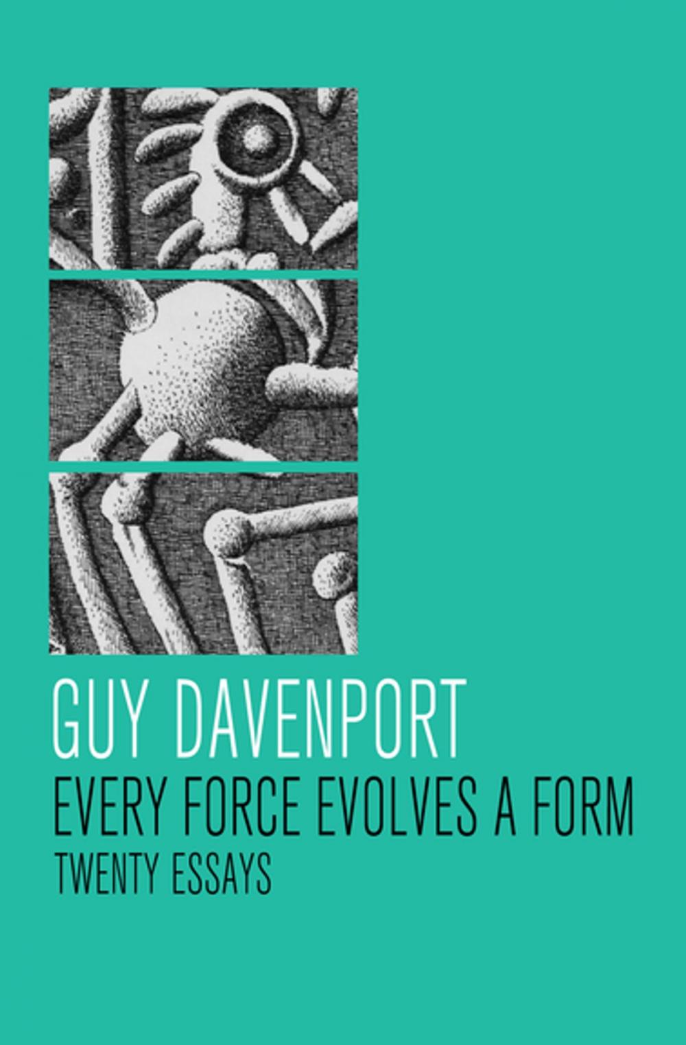 Big bigCover of Every Force Evolves a Form