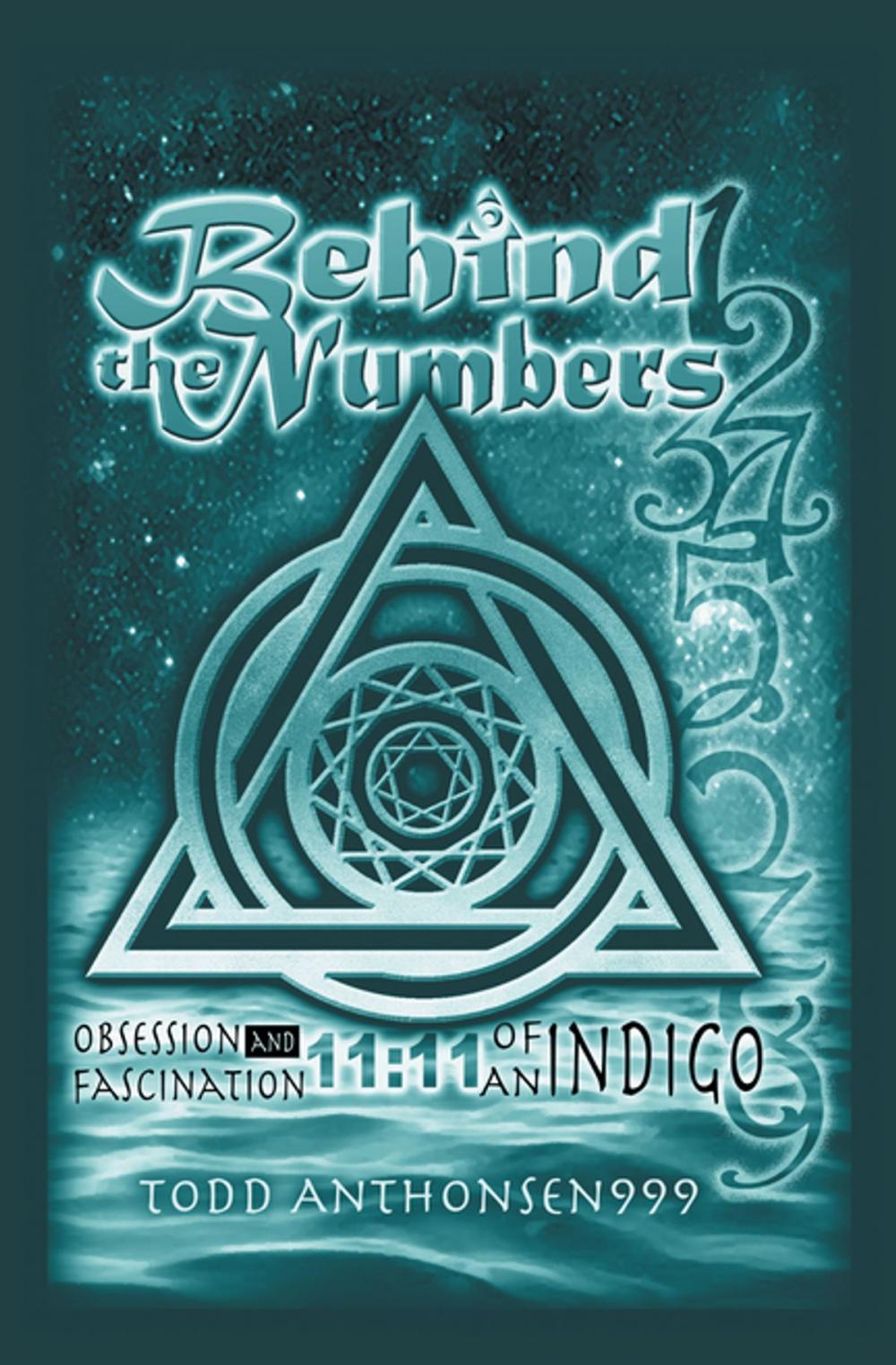 Big bigCover of Behind the Numbers