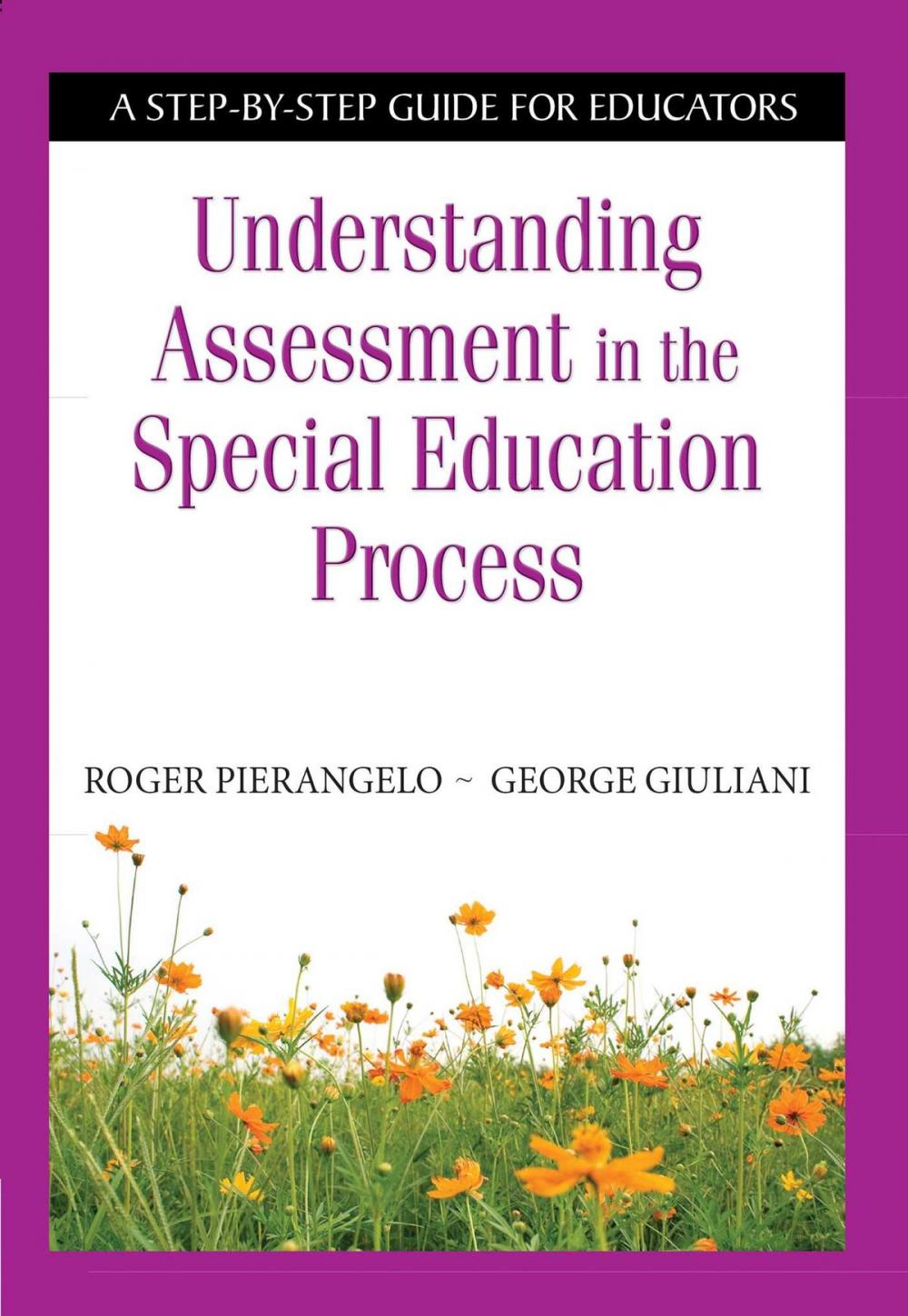 Big bigCover of Understanding Assessment in the Special Education Process