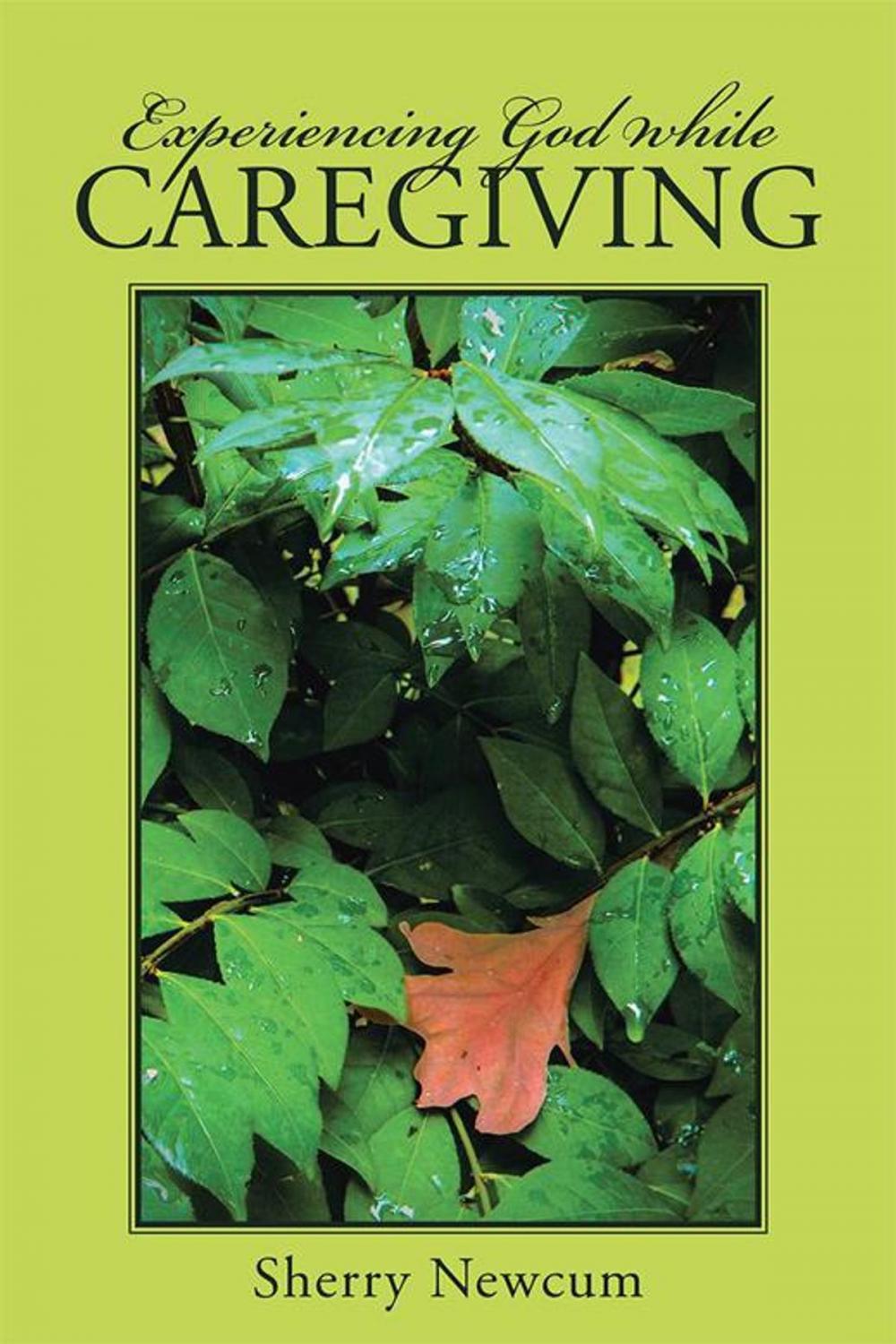 Big bigCover of Experiencing God While Caregiving