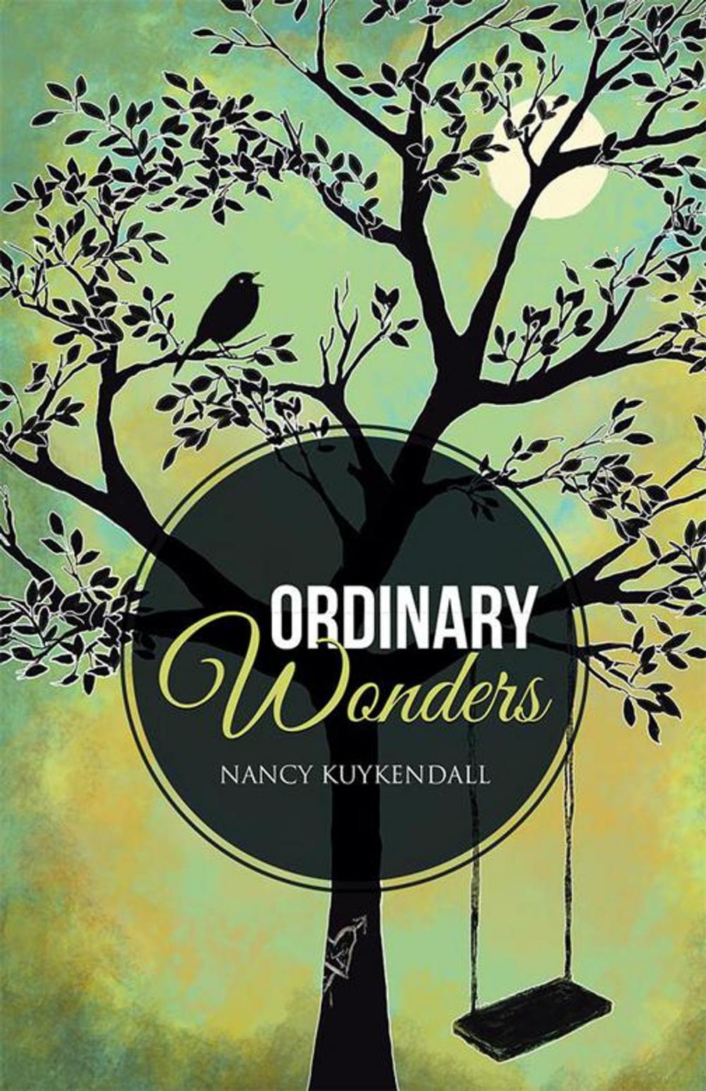 Big bigCover of Ordinary Wonders