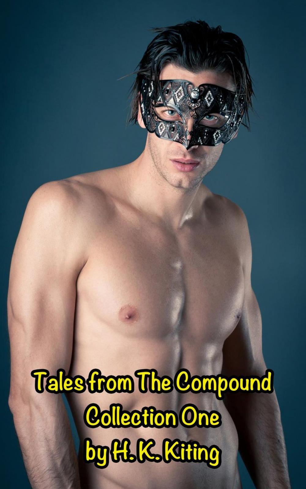 Big bigCover of Tales from The Compound: Collection One