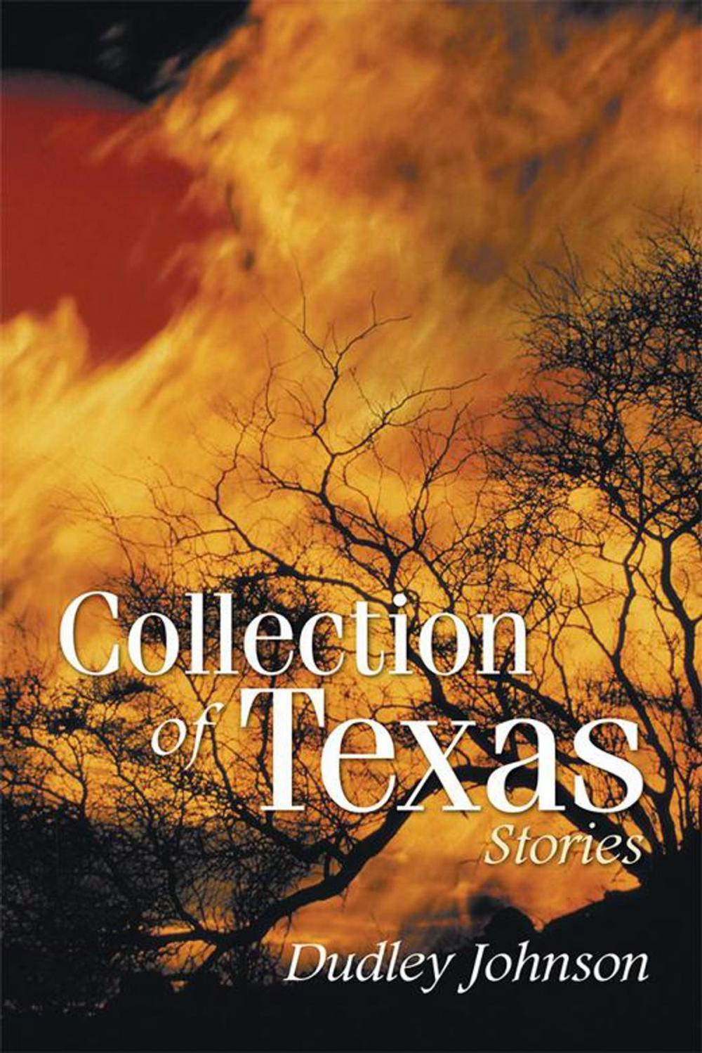 Big bigCover of Collection of Texas Stories