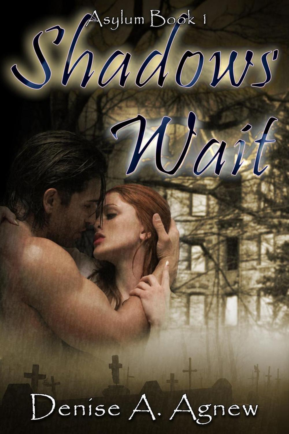 Big bigCover of Shadows Wait (Asylum Trilogy Book 1)