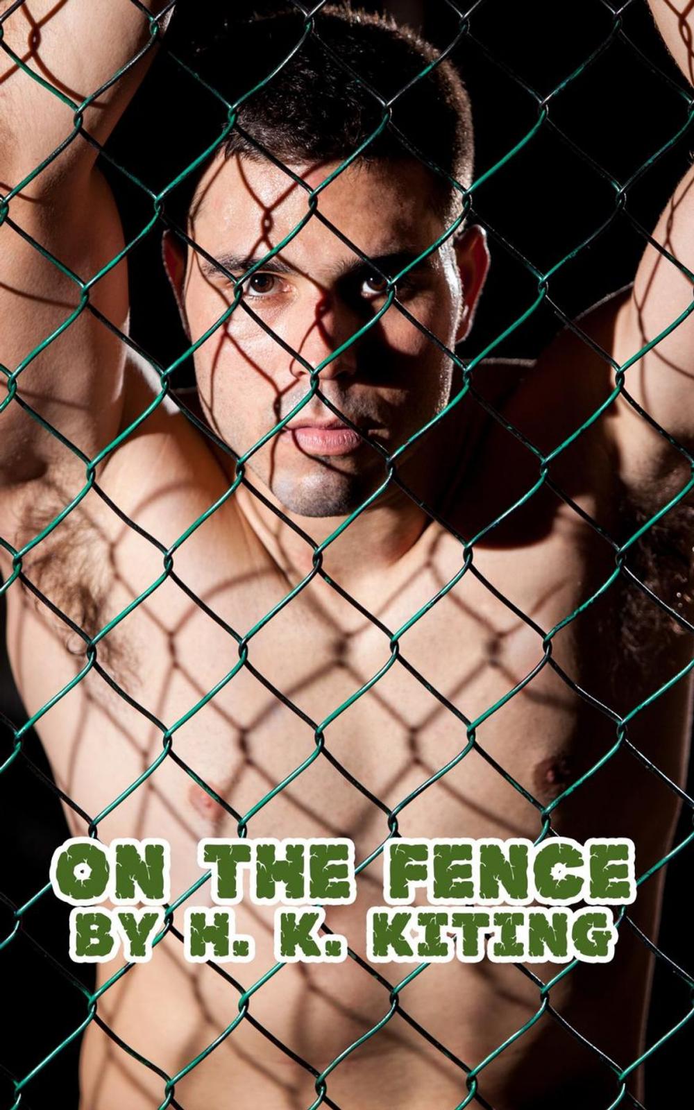 Big bigCover of On the Fence