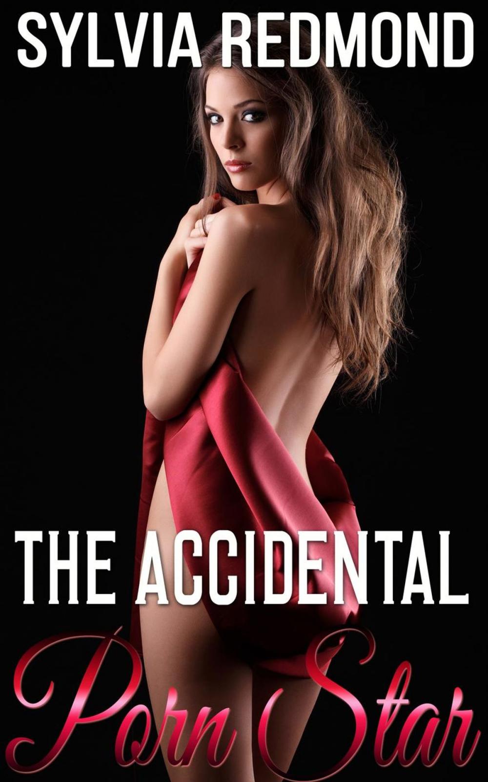 Big bigCover of The Accidental Porn Star