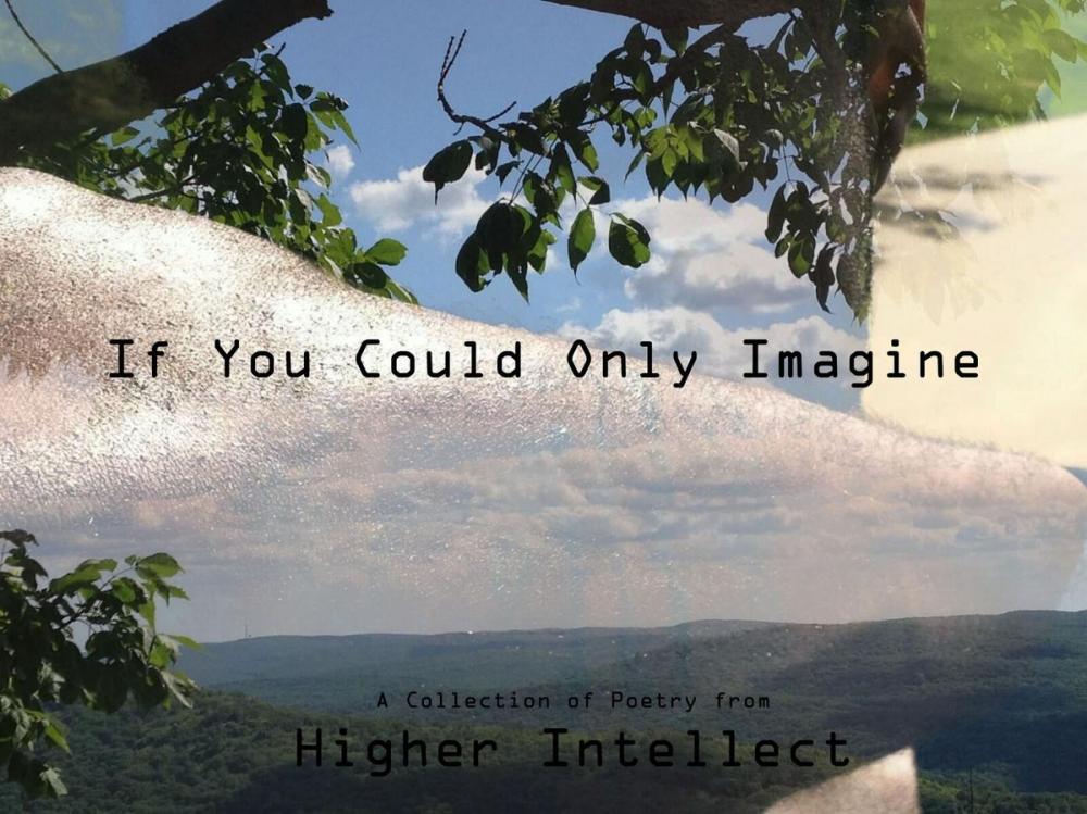 Big bigCover of If You Could Only Imagine