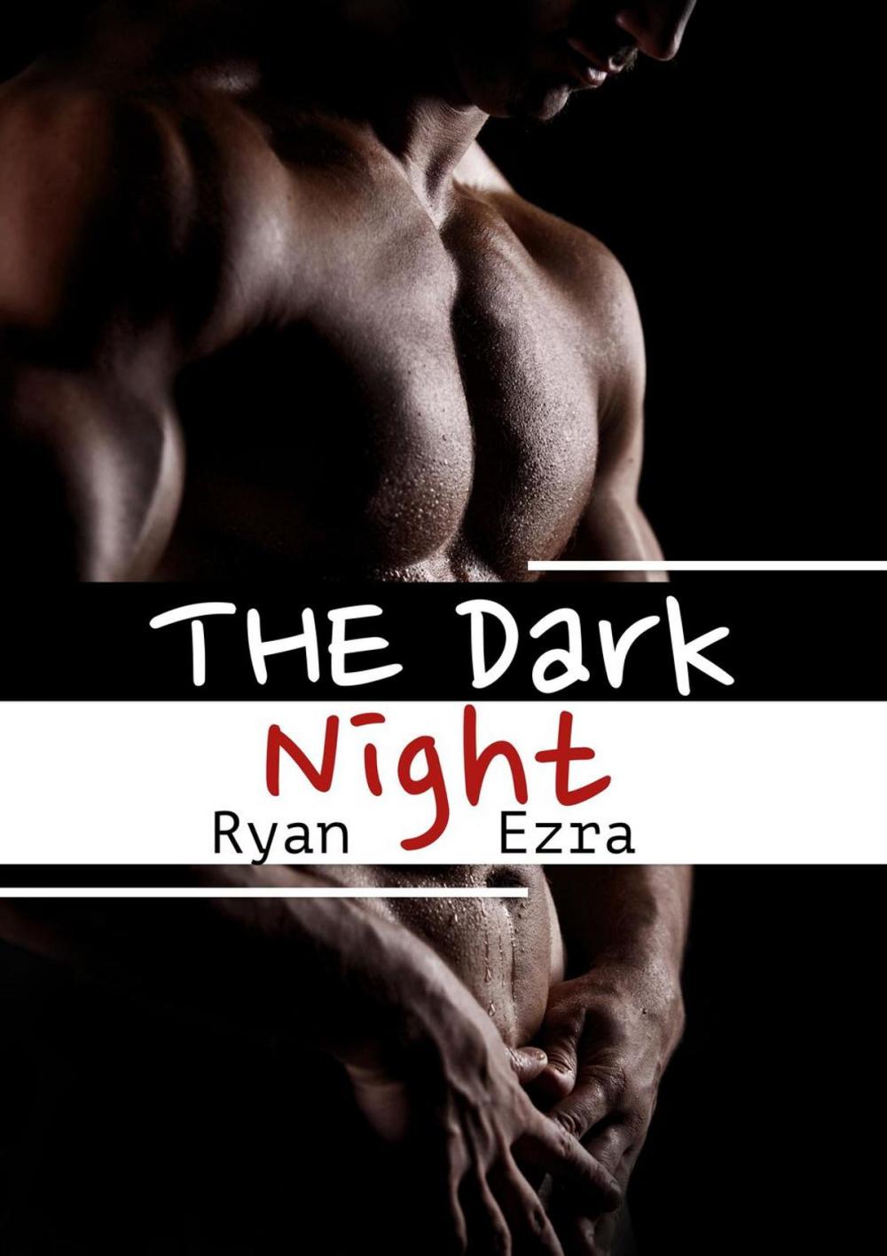 Big bigCover of The Dark Night [Gay Erotik]