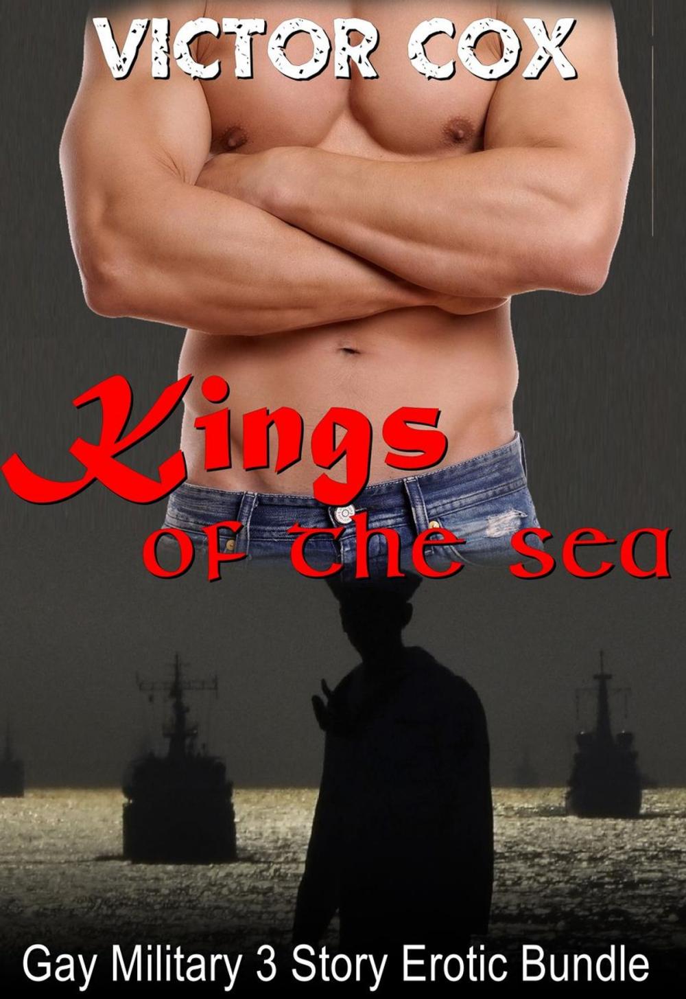 Big bigCover of King of the Seas