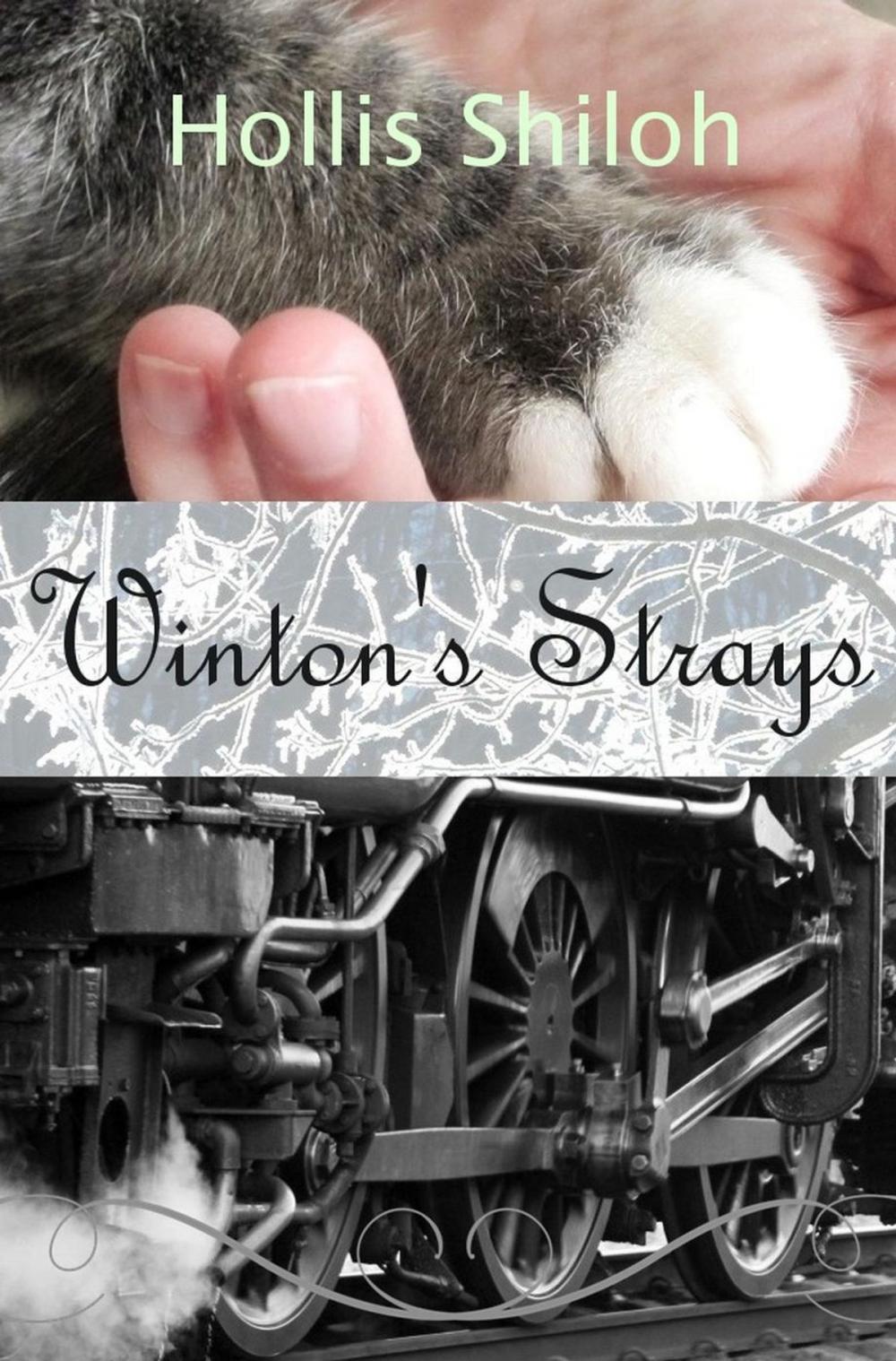 Big bigCover of Winton's Strays