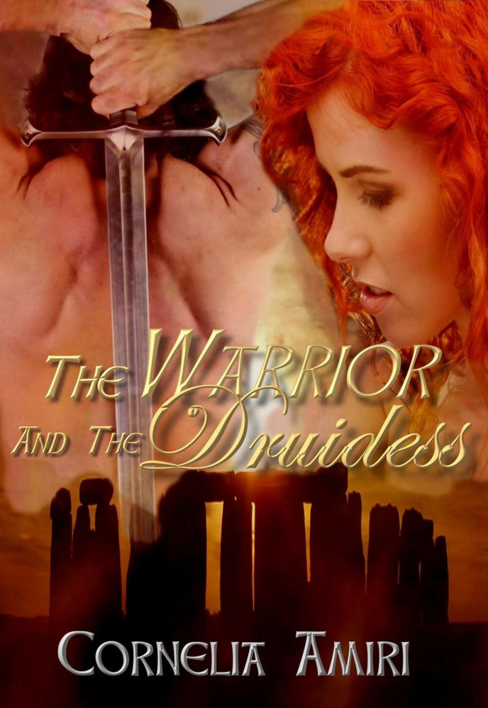 Big bigCover of The Warrior and the Druidess