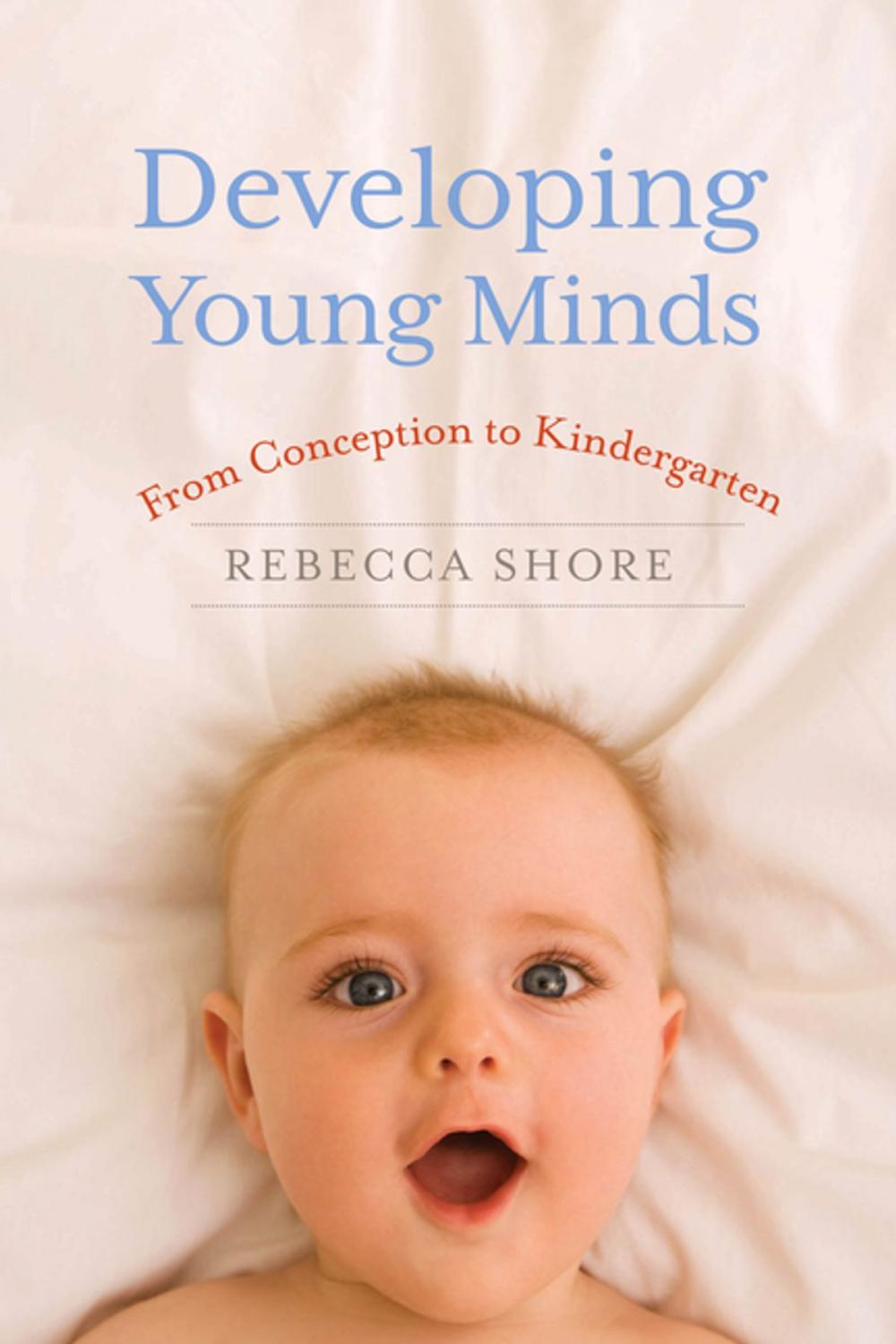 Big bigCover of Developing Young Minds