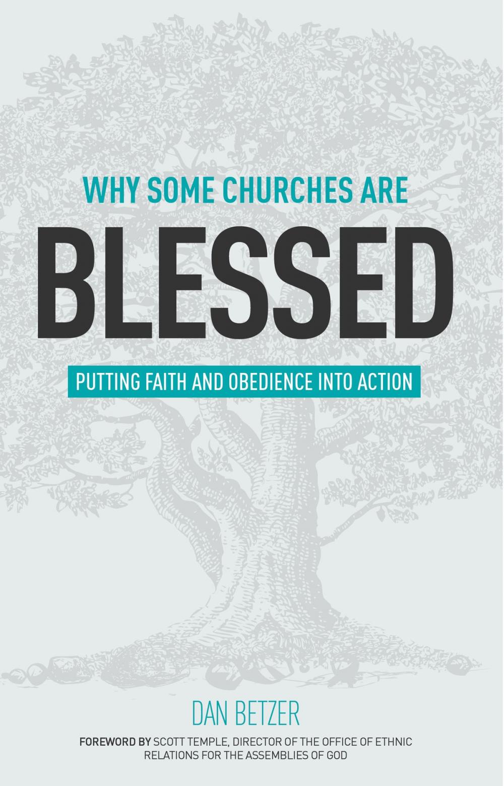 Big bigCover of Why Some Churches Are Blessed