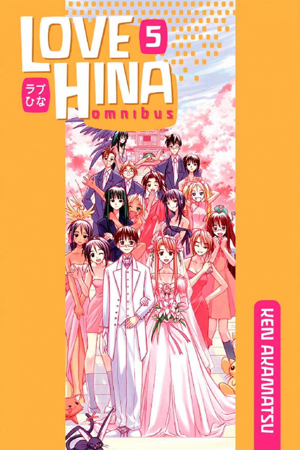 Big bigCover of Love Hina Omnibus