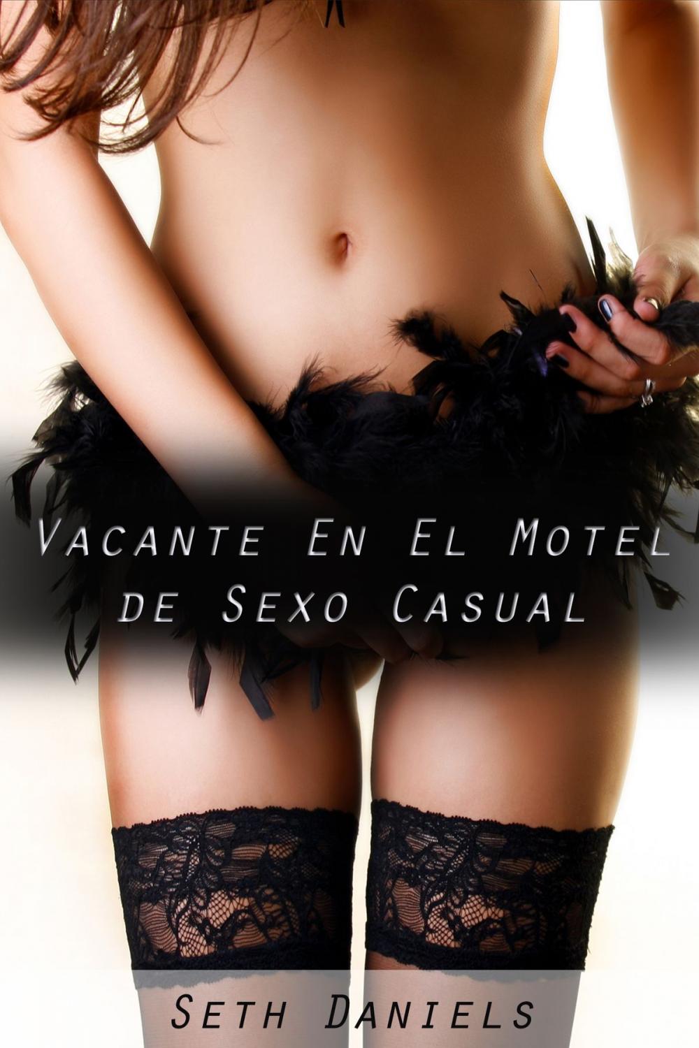 Big bigCover of Vacante En El Motel de Sexo Casual