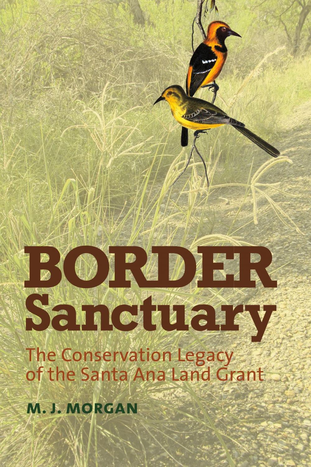 Big bigCover of Border Sanctuary