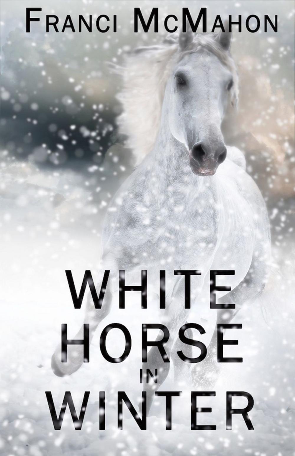 Big bigCover of White Horse in Winter