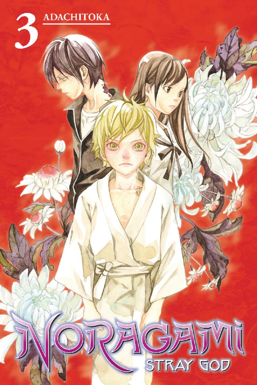 Big bigCover of Noragami: Stray God